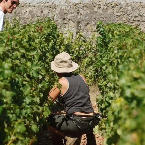 [ SOCIETE ]: La communauté des communes terre de camargue, se...