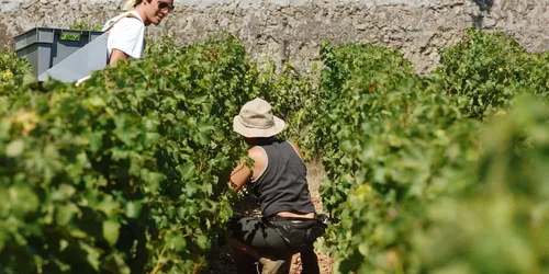 [ SOCIETE ]: La communauté des communes terre de camargue, se...