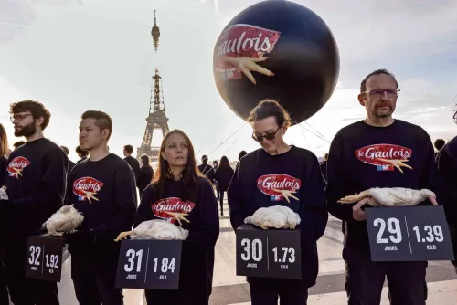 [ SANTE - FRANCE ] Le groupe le Gaulois dans le collimateur de...