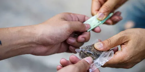 [ Culture - Loisir ] Les trafiquants de drogue bientôt privés de...