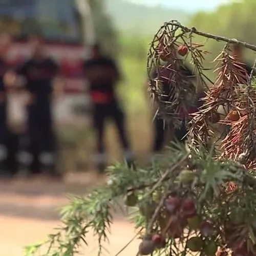 [ ENVIRONNEMENT ] Boûches-du-Rhône: Les pompiers sur le qui-vive