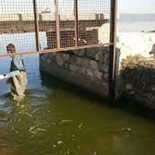 [ SOCIETE ] Golfe de Fos: Pêcheurs et politiques ouvrent la discussion