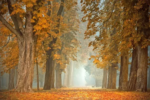 Automne en Camargue : pourquoi notre corps change de rythme et...