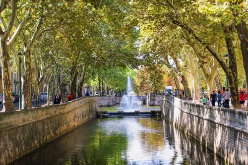 [ Ecologie ] Cinq nouveaux arbres bientôt plantés sur les quais de...