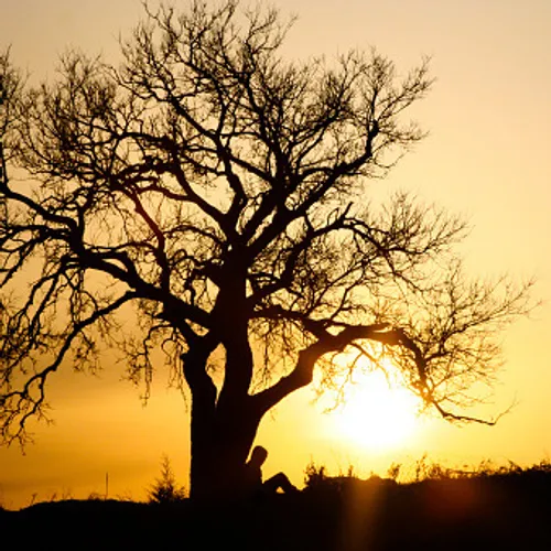 [ SOCIETE / ECOLOGIE ]: Un projet écolo auquel vous pouvez...