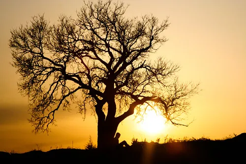 [ SOCIETE / ECOLOGIE ]: Un projet écolo auquel vous pouvez...