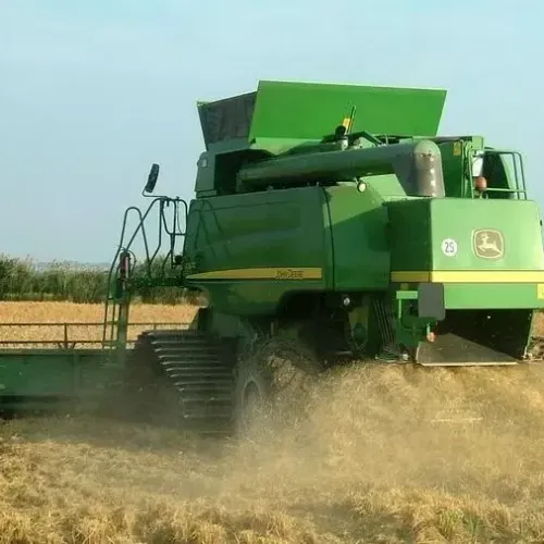 [ ECONOMIE ] Camargue: Chute de la production de riz en Camargue