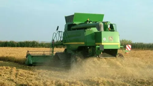 [ ECONOMIE ] Camargue: Chute de la production de riz en Camargue