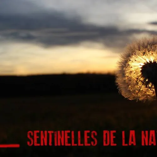 [ ENVIRONNEMENT ] France: Une appli au service de la nature