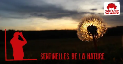 [ ENVIRONNEMENT ] France: Une appli au service de la nature