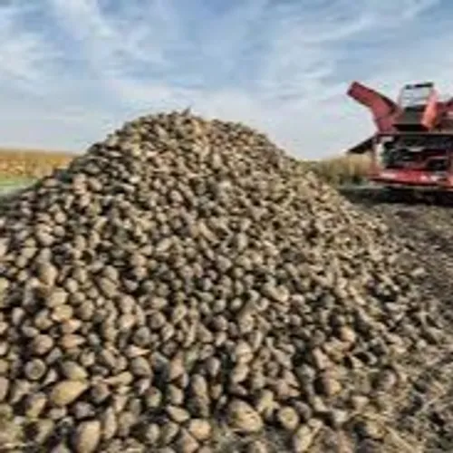 [SOCIAL]: Certains betteraviers camarguais sont allés jusqu’à Paris.