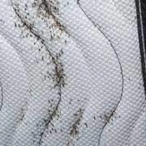 [SANTE]: Les Bouches du Rhône théâtre d’une expérimentation pour...