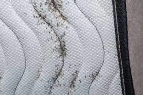 [SANTE]: Les Bouches du Rhône théâtre d’une expérimentation pour...