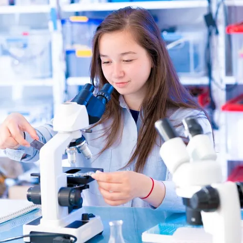 [ EDUCATION ] Le gouvernement exempte les 6ème de "techno"