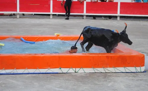 Toro Piscine à Istres : des soirées estivales placées sous le signe...