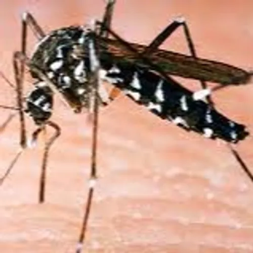 [SANTE]: Dans le Gard,  un dispositif de surveillance renforcée dès...