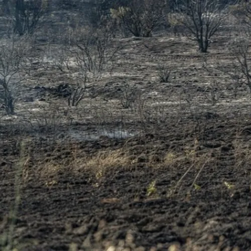 [ ENVIRONNEMENT ] Vigilance rouge pour les départs de feux