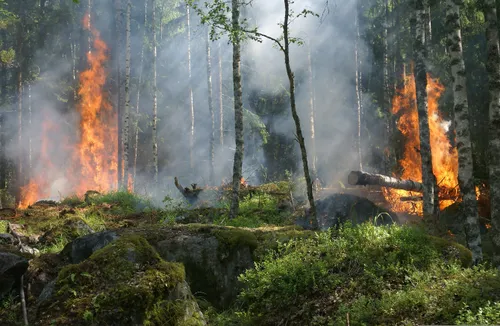Feux de forêt : vigilance maximale dans les Bouches-du-Rhône, ce...