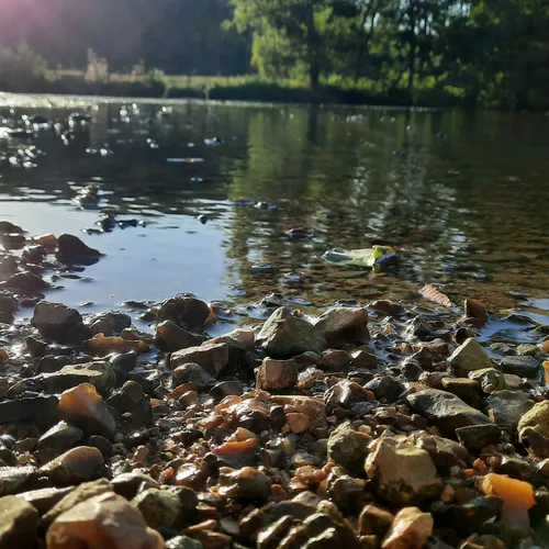 Les mesures de restriction des usages de l'eau évoluent en ce début...