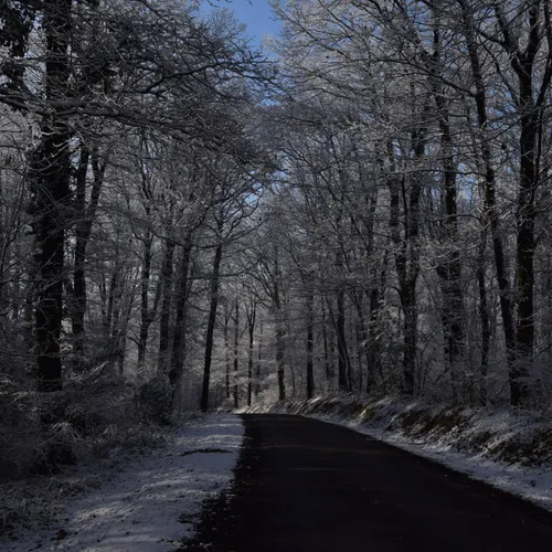 De la neige pour Noël ?