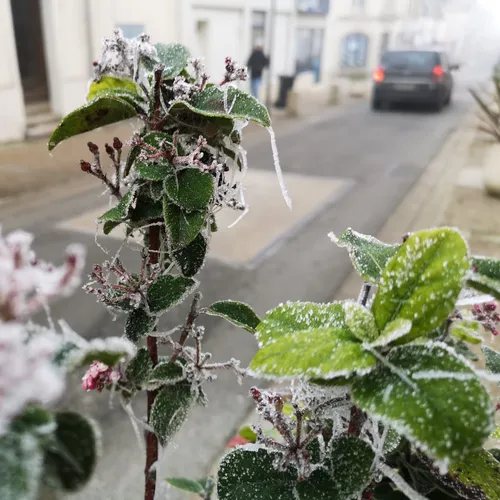 Fortes gelées et conditions de circulation "délicates"