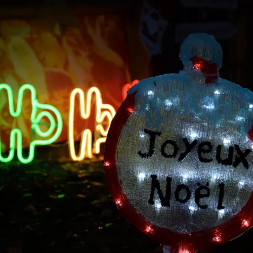 🔊 Des sorties de fin d'année, en famille