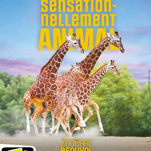 Gagnez vos places pour le ZooParc de Beauval sur Intensité