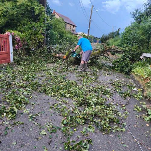 Chuisnes - arbres tombés après orage 
