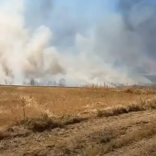 Eure-et-Loir : Plus de 130 hectares ravagés par les flammes ce...