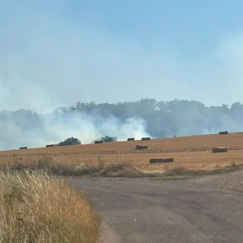 Près de Nogent-le-Roi, 300 hectares de végétation ont brûlé samedi...