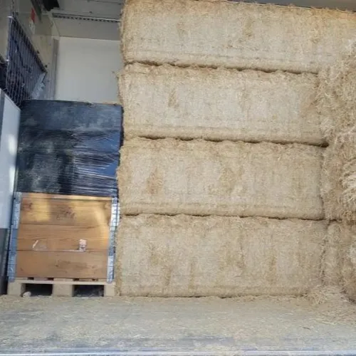Saisie record sur l'A10 : plus de 240 kg de cocaïne interceptés par...