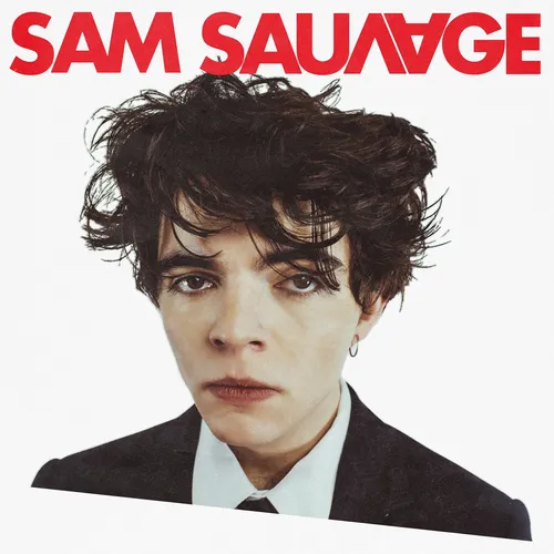 SAM SAUVAGE Un nouveau talent qui vient du nord