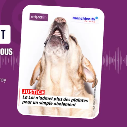 Les chiens aboient et c’est bien normal, mais jusqu’où se situe...