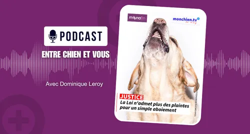 Les chiens aboient et c’est bien normal, mais jusqu’où se situe...