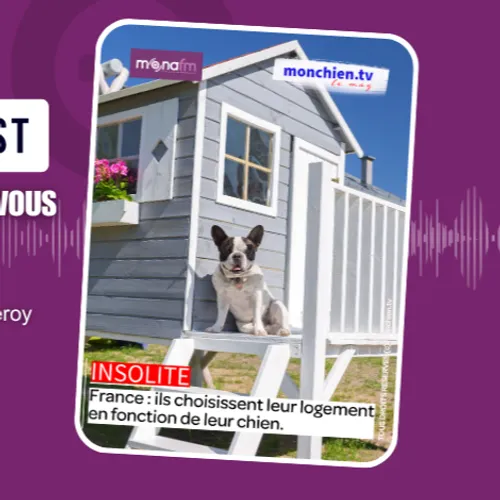 Mon chien choisit ou il veut habiter