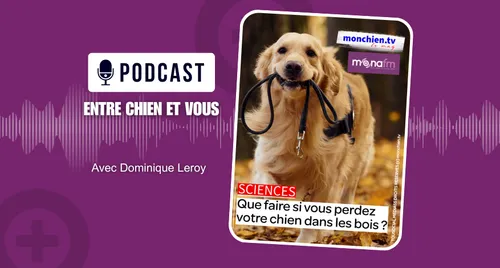 COMMENT RETROUVER SON CHIEN DANS LES BOIS ?