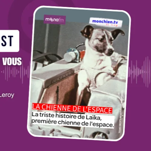 L’Histoire de Laïka