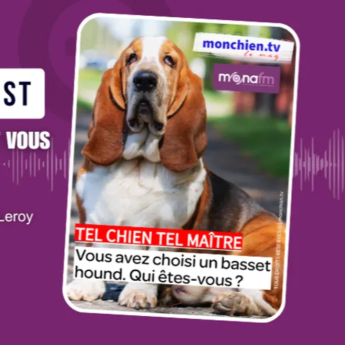 CHOISIR UN BASSET HOUND… QUI ÊTES-VOUS ?
