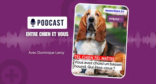 CHOISIR UN BASSET HOUND… QUI ÊTES-VOUS ?