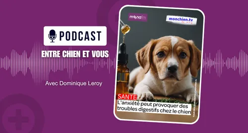 LES TROUBLES DIGESTIFS CHEZ LE CHIEN