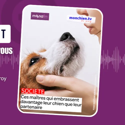 ILS EMBRASSENT PLUS LEUR CHIEN que leur partenaire! 