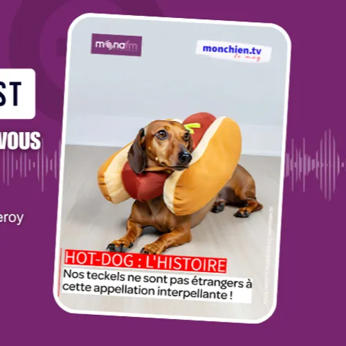 L’histoire du hot-dog