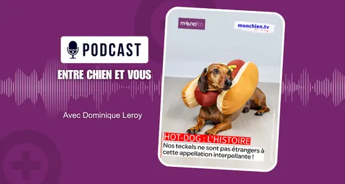 L’histoire du hot-dog
