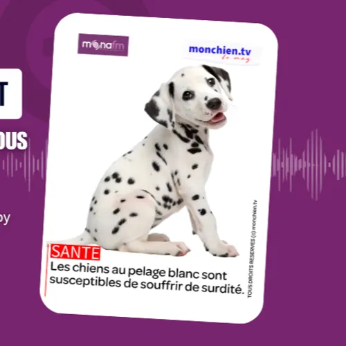 LE PELAGE BLANC