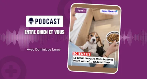 Entre une gamelle de croquettes et vous, que pensez-vous que votre...