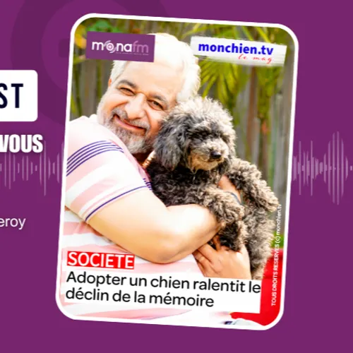 ADOPTER UN CHIEN QUAND ON EST SÉNIOR ? 