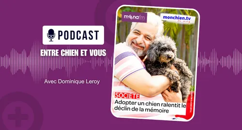 ADOPTER UN CHIEN QUAND ON EST SÉNIOR ? 