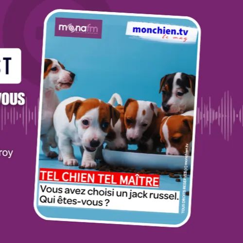 CHOISIR UN JACK RUSSELL ? 