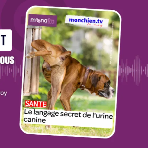 LE POUVOIR DE L’URINE
