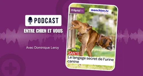 LE POUVOIR DE L’URINE